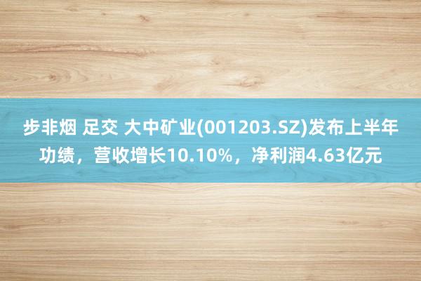 步非烟 足交 大中矿业(001203.SZ)发布上半年功绩，营收增长10.10%，净利润4.63亿元