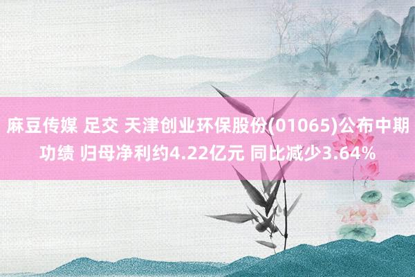 麻豆传媒 足交 天津创业环保股份(01065)公布中期功绩 归母净利约4.22亿元 同比减少3.64%