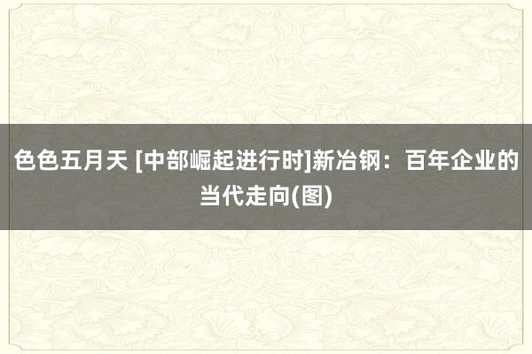 色色五月天 [中部崛起进行时]新冶钢：百年企业的当代走向(图)